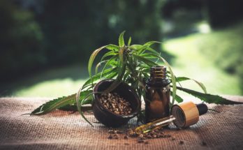 cbd, cannabidio, cbd oil