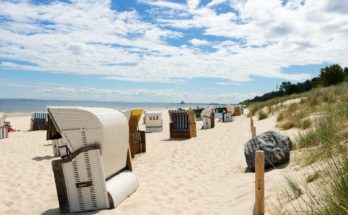 white and gray bench on seashore