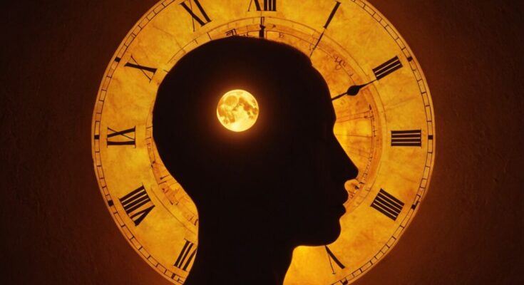 Was ist der Biorythmus?