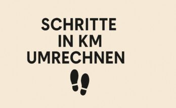 Schritte in km