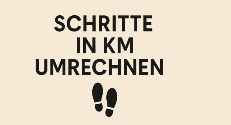 Schritte in km